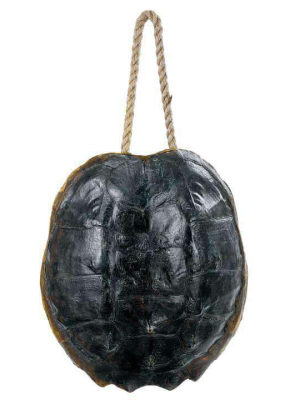 Turtle Shell Accessory (natural)