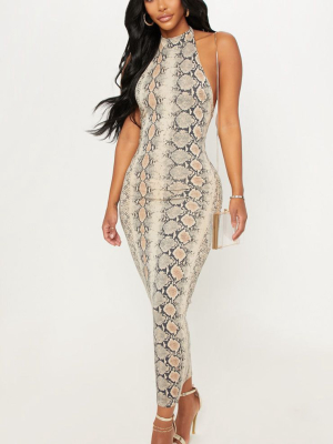 Shape Taupe Snake Print Halterneck Midaxi Dress