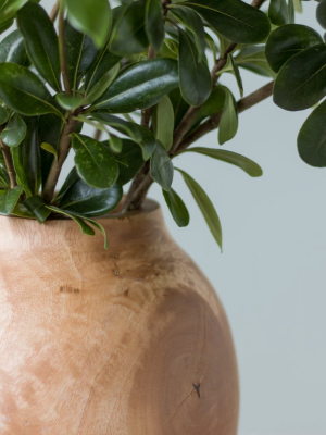 Luca Mango Wood Vase