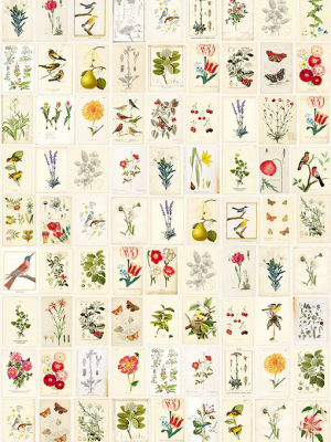 Botanical Paper Wall Mural By Eijffinger For Brewster Home Fashions