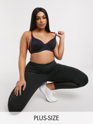 Dorina Plus Size Spirit High Impact Wired Sports Bra In Black