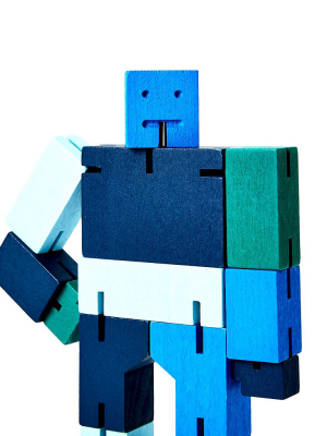 Cubebot Blue Multi