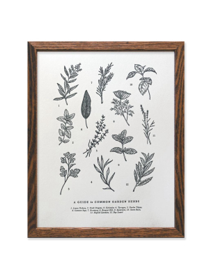 Guide To Garden Herbs Print