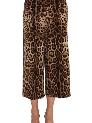 Dolce & Gabbana Logo Waistband Leopard Print Pants