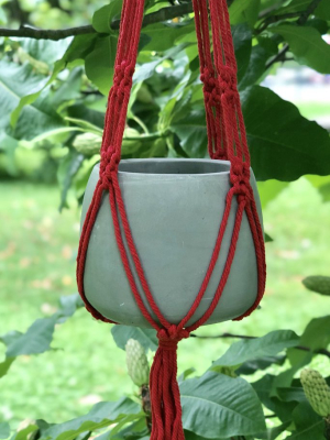 Macrame Cement Planter