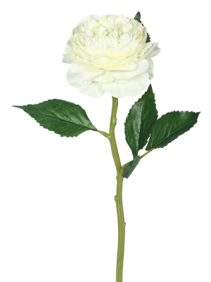 Artificial (pk/6) Rose Stem (13") White - Vickerman