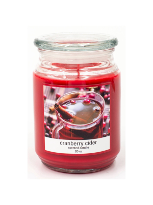 20oz Glass Jar Cranberry Cider Candle