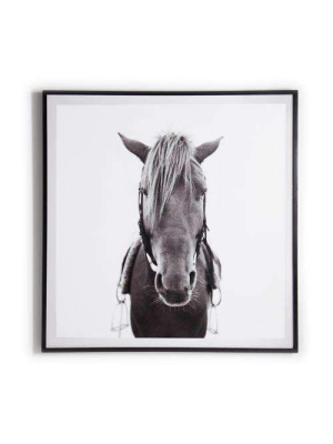 Horse-photo,black Mpl 48"x48"