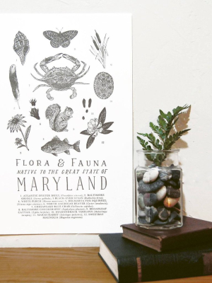 Maryland Field Guide Print