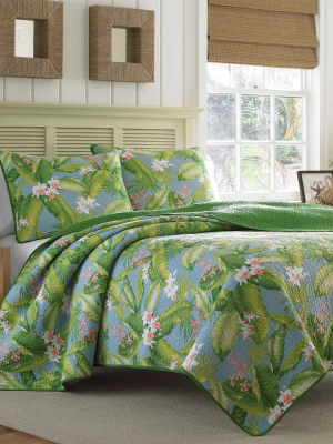 Aregada Dock Quilt & Sham Set - Tommy Bahama