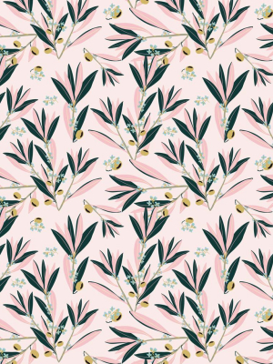 Olive Dapple Wallpaper In Blushing Pink From The Wallpaper Republic Collection By Milton & King