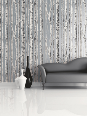 Birch Wallpaper In Silver And Grey From The Solaris Collection By Mayflower Wallpaper