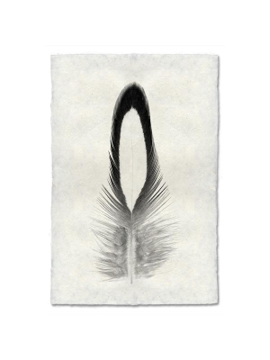 Feather #14 Print