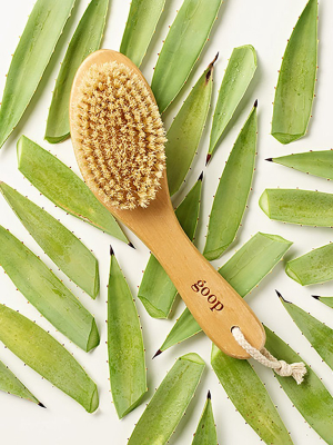 G.tox Ultimate Dry Brush