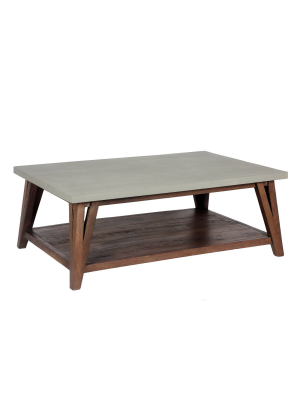 48" Brookside Coffee Table Concrete Coated Top And Wood Light Gray/brown - Alaterre Furniture