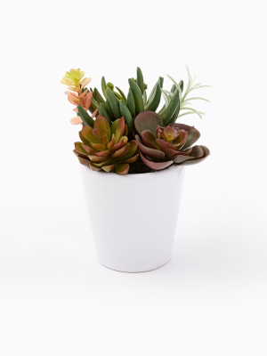 Faux Potted Mixed Succulent Plants