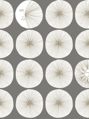 Soho Starburst Peel & Stick Wallpaper In Grey And Glint From The Risky Business Iii Collection By York Wallcoverings