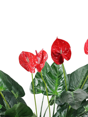 Northlight 41" Red And Black Potted Tropical Artificial Anthurium Plant In A Black Pot