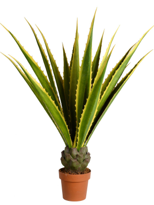 Vickerman 47" Artificial Green Sisal In Pot.