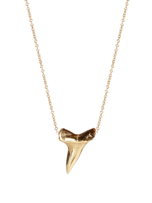14k Sharks Tooth Necklace