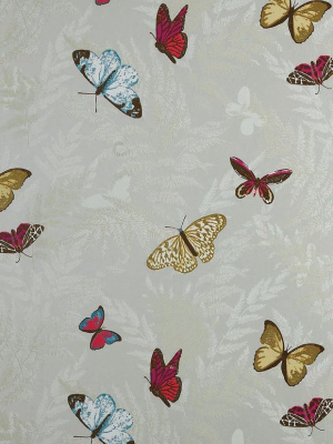 Farfalla Wallpaper In Tan Background With Brilliantly Coloured Butterflies From The Lombardia Collection By Nina Campbell