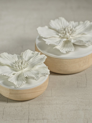 Cosmos Porcelain And Natural Wood Flower Box - White