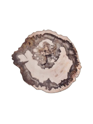 Kim Seybert Petrified Wood Placemat - Set Of 4