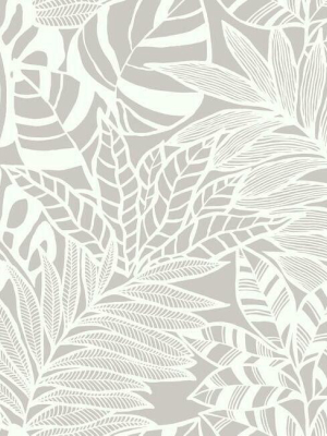 Jungle Leaves Wallpaper In Grey From The Silhouettes Collection By York Wallcoverings