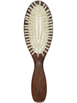 Travel Hairbrush