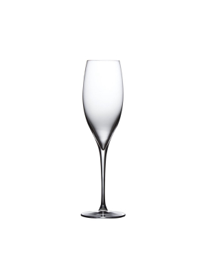 Terroir Set Of 2 Champagne Glasses