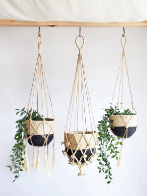 Shuly Plant Hanger