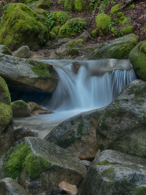 Falls After A Storm