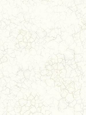 Alchemy Wallpaper In Gold And Cream From The Transition Collection By Mayflower Wallpaper