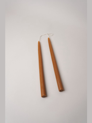 12" Taper Candles - Miel