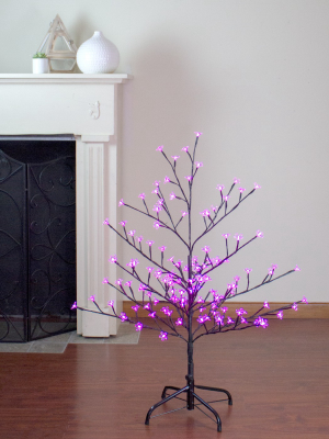 Northlight 4' Pre-lit Sakura Cherry Blossom Flower Artificial Tree - Pink Led Lights