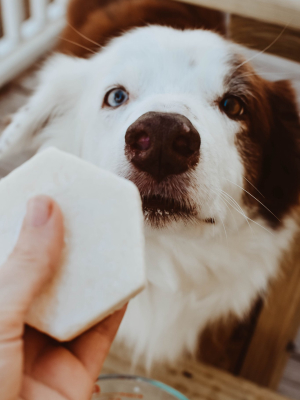 Dog Shampoo