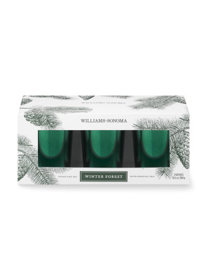 Williams Sonoma Winter Forest Votive Candles