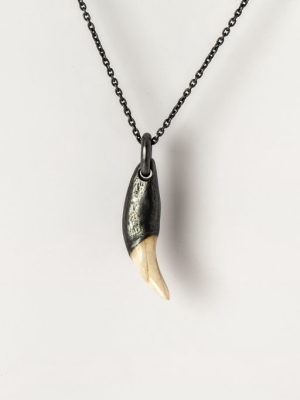 Bear Tooth Necklace Ghost Hybrid (small, Ka+b)