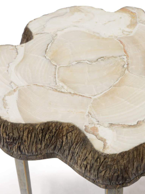 Chloe Fossilized Clam Side Table