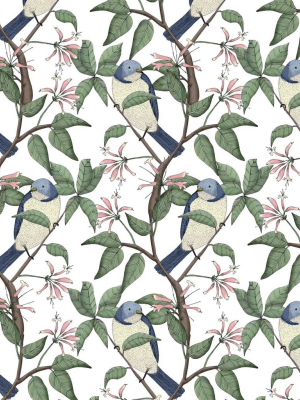 Bird Spotting Wallpaper From The Wallpaper Republic Collection By Milton & King