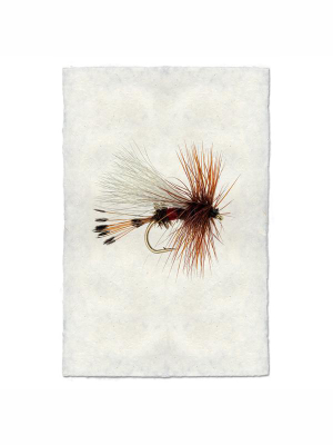 Fly Fishing Print - Royal Wulff