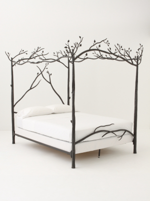 Forest Canopy Bed