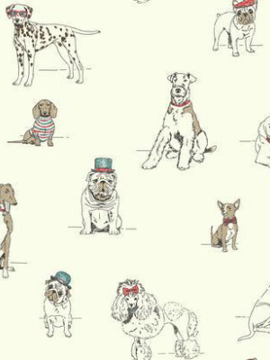 Dog's Life Wallpaper In Grey, Red, And Ivory By Ashford House For York Wallcoverings