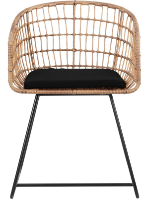 Grayham Rattan Lounge Chair Black - Finch