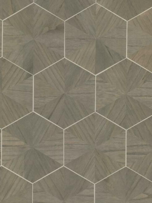 Hexagram Wood Veneer Wallpaper In Brown From The Traveler Collection By Ronald Redding