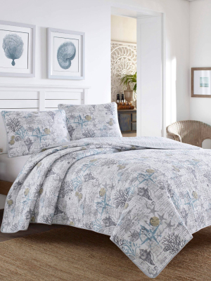 Beach Bliss Pelican Quilt & Sham Set Gray - Tommy Bahama