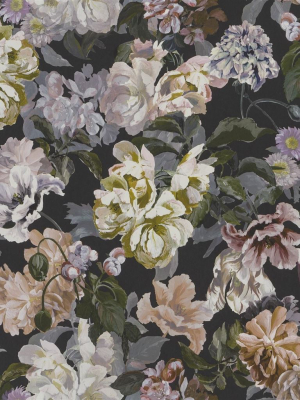 Delft Flower Wallpaper In Charcoal From The Tulipa Stellata Collection By Designers Guild