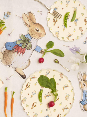 Peter Rabbit™ & Friends Dinner Plates (x 12)