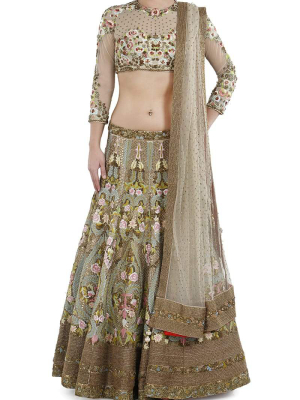 Embroidered Lehenga Set