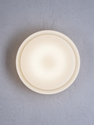 Mint Wall / Ceiling Light